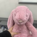 실력파 양심치과)뉴욕굿모닝치과 또간집(?) 리뷰