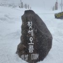 제주도1박2일 (1/28~29) 한라산 이미지