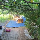 최종화농장 이미지