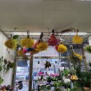 화사랑화원 이미지