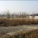 은빛가든 이미지