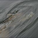 여주낚시터 이미지