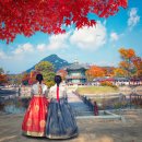 씨제이제일제당(집단급식소) | 2025년 한국 vs 미국 트렌드 - 글로벌 열풍 속 어디로 가고 있나?