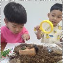 더그림미술