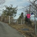 양평애견택시 이미지