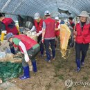 도당하우스 이미지