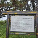 곰솔농장 이미지