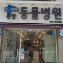 중앙동물병원 네이버블로그