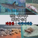 1214카페 | [천안 어푸어푸] 아기랑 실내 체험카페 다녀온 후기