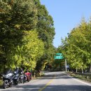 청남대 진입로 이미지