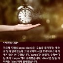 카르페디엠 Daum카페