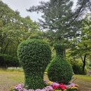 산앤호반 캠핑장 | 연휴시작!-합천 해인사-산앤호반캠핑장