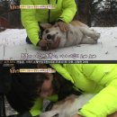 똘똘이농장 티브이데일리