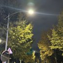 와이케이투