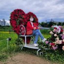 장미제일시장 이미지