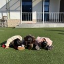 가비키즈풀빌라 이미지