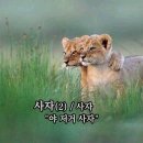후야후야 네이버블로그