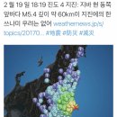 도쿄 인근 치바현에서 지진 발생 이미지