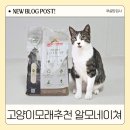 카사바모래 알모네이쳐 먼지없는 고양이모래추천 후기