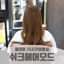 쉬크헤어모드