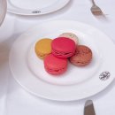 블랙샌즈호텔 | 싱가포르 카페 추천 TWG Tea Garden 마리나베이샌즈 방문 후기