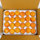 반시홍시 | 씨없는감 청도반시 홍시 추천 후기 식량창고에덴