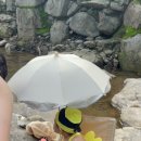 팔현리163 이미지