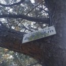 용호1동 체육공원 이미지