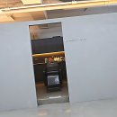 댕댕이묭실 | 드디어 내 머리 구원할 묭실 찾음 실화냐