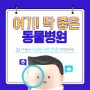 웰빙동물병원 이미지
