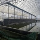 삽교천 낚시터 이미지