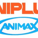 애니<b>플러스</b>, 애니맥스 코리아 인수