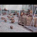 박진수농장 이미지