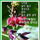 헤드라인 뉴스(20년9월3일) 이미지