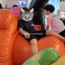 창무 스포츠스쿨(태권도) | 태권도/ 동림동유아체육/ 동림동유아태권도 / 동림동창무태권도 /창무스포츠스쿨 / 토요놀이데이...