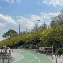 강변길 서천 이미지