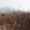 노고단-4 이미지