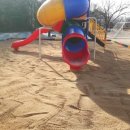 해안초교병설 이미지