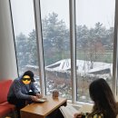 가평군 설악도서관 | 🏔[속초] 설날연휴에 떠난 속초 가좍여행(260215-16)