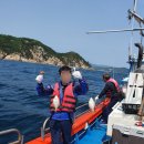 삼척바다배낚시체험 이미지