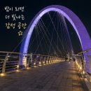 아산도심누리코스 | 데이트 코스로 딱💖 아산 달빛누리교 야경 솔직 후기