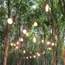 B&B 아그로 이미지