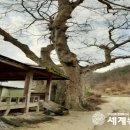 신기리 이미지