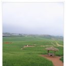 송림농원민박 이미지