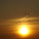 안석낚시터 이미지