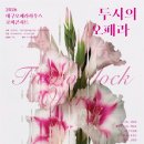 로비콘서트 티스토리