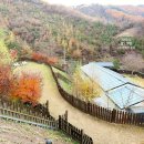 젠치로네 네이버블로그