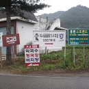 홍천지물