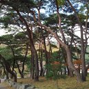 보경사 입구 이미지