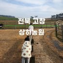 상하푸른목장 이미지